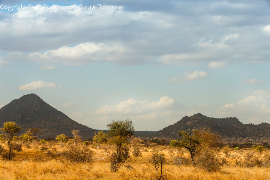 Field, Grass, Grassland, Land, Outdoors