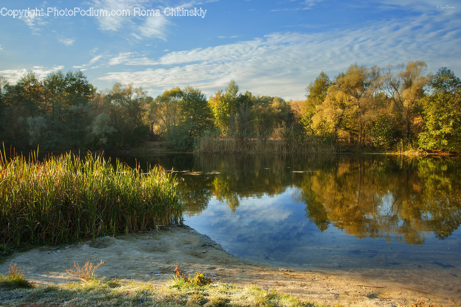 Lake, Outdoors, Water, Field, Grass