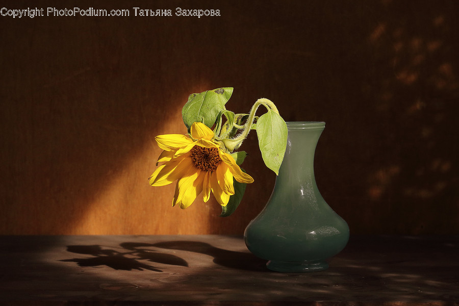 Jar, Porcelain, Vase, Flower Arrangement, Ikebana