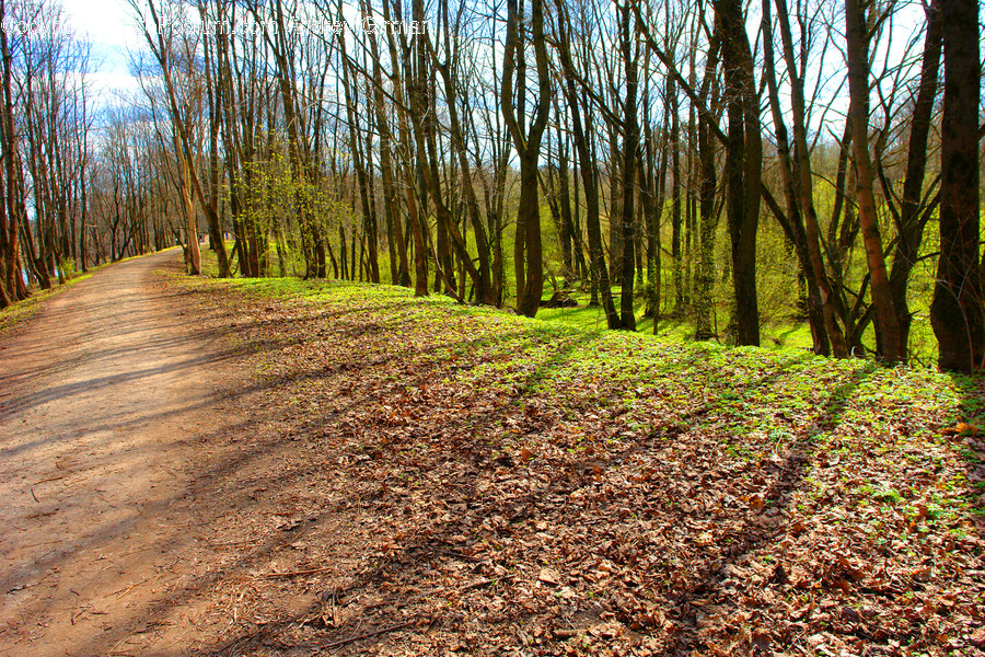 Dirt Road, Gravel, Road, Path, Walkway