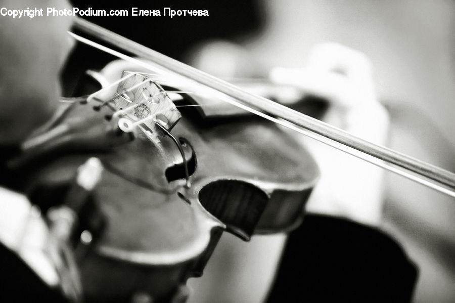 Cello, Fiddle, Musical Instrument, Violin, Accessories