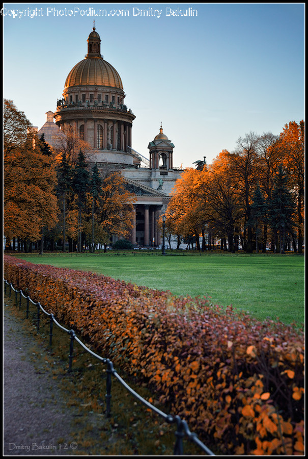 Architecture, Building, Dome, Cathedral, Church