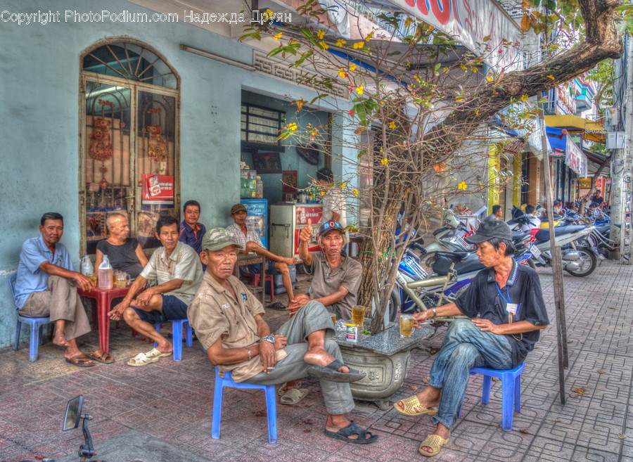 Human, People, Person, Bench, Chair