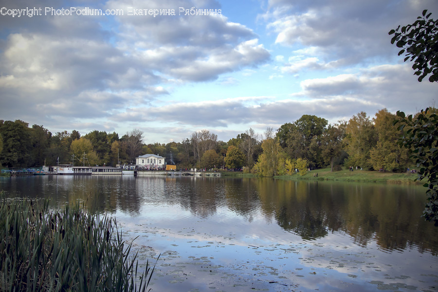 Lake, Outdoors, Water, Flora, Grass