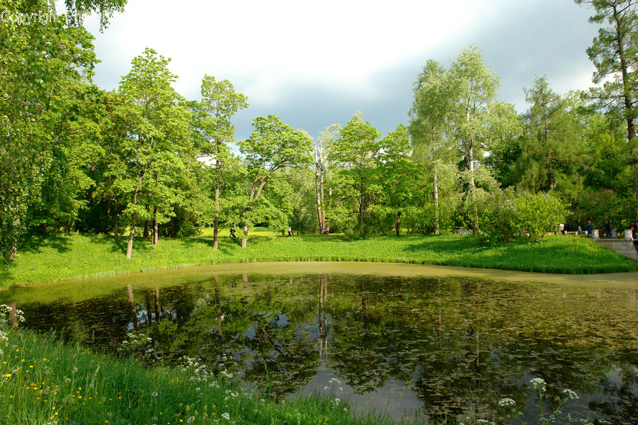 Outdoors, Pond, Water, Field, Golf Course