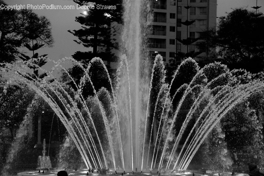 Fountain, Water, Flora, Plant, Tree