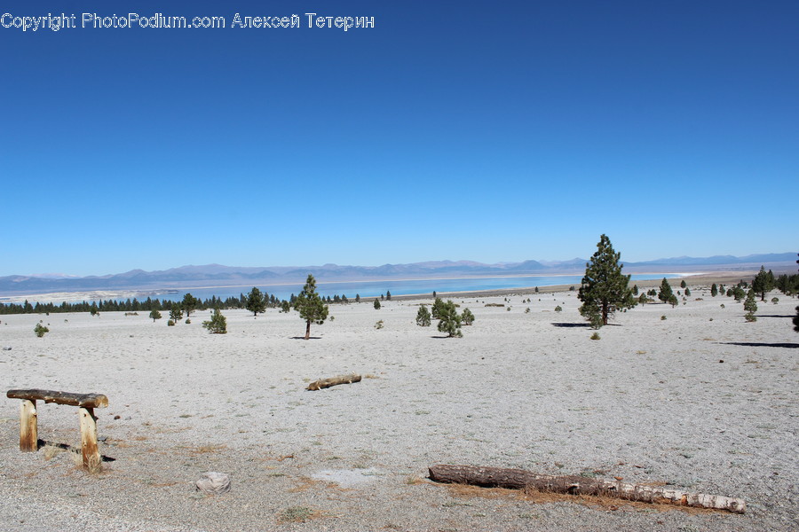 Desert, Nature, Outdoors, Soil, Beach