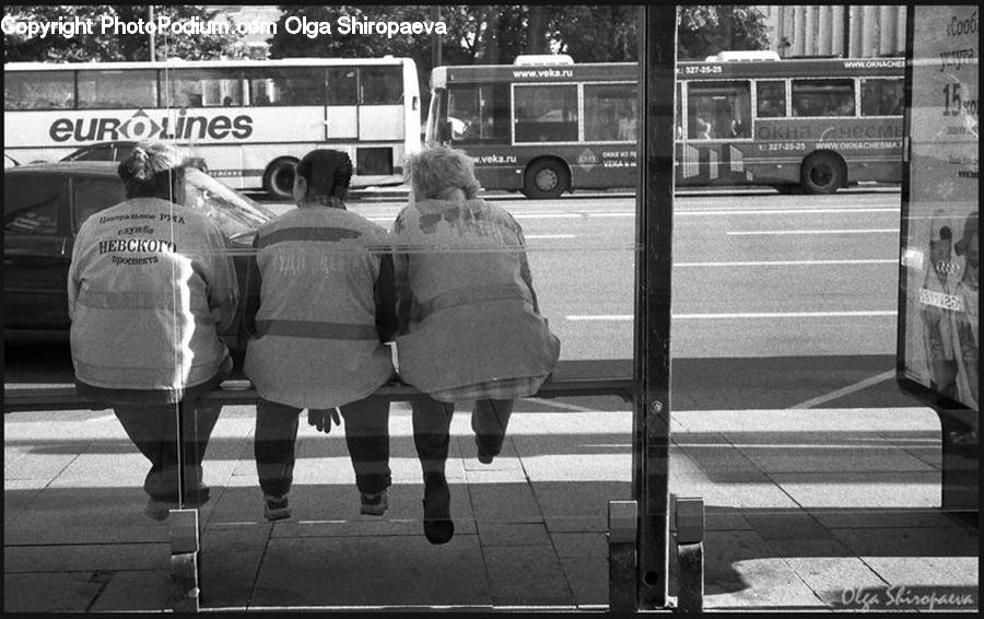 Bus, Vehicle, Cable Car, Streetcar, Trolley, Double Decker Bus, Transportation