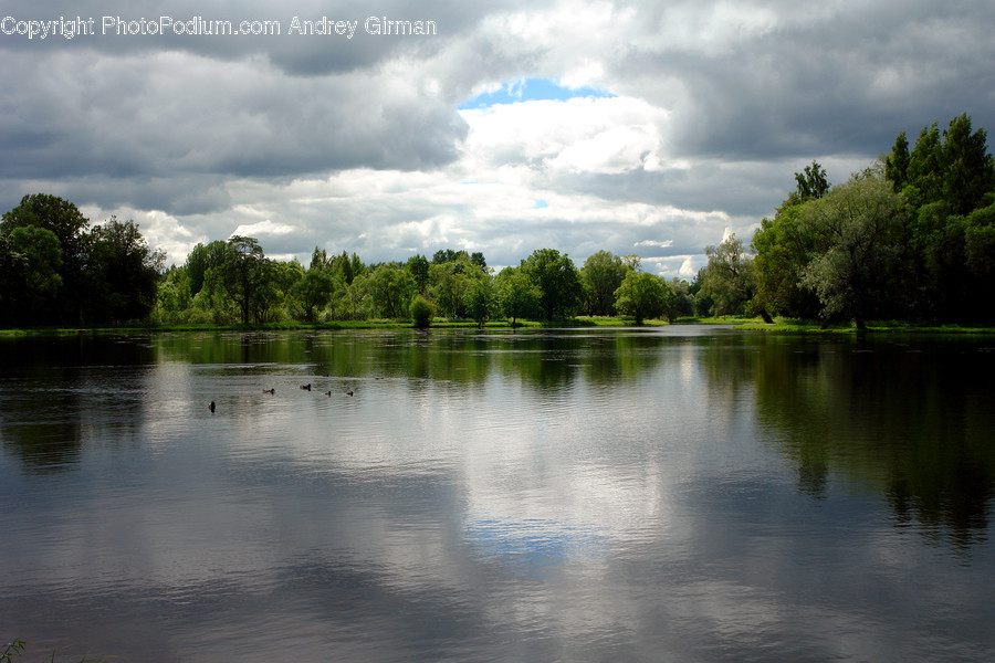 Cloud, Cumulus, Nature, Outdoors, Sky