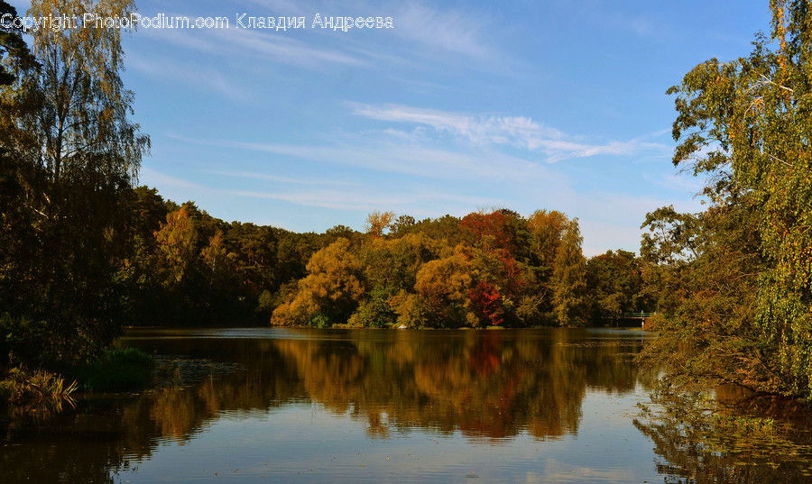 Lake, Outdoors, Water, Flora, Grass