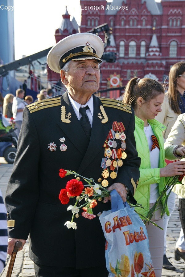 Human, People, Person, Blossom, Flora