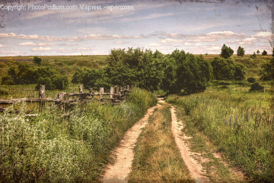 Dirt Road, Gravel, Road, Landscape, Nature