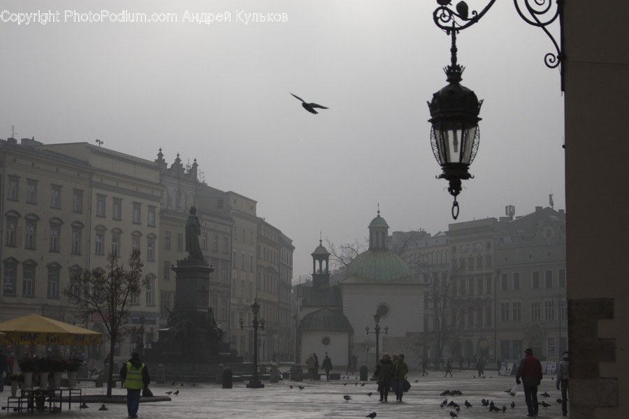 Architecture, Building, City, Downtown, Plaza