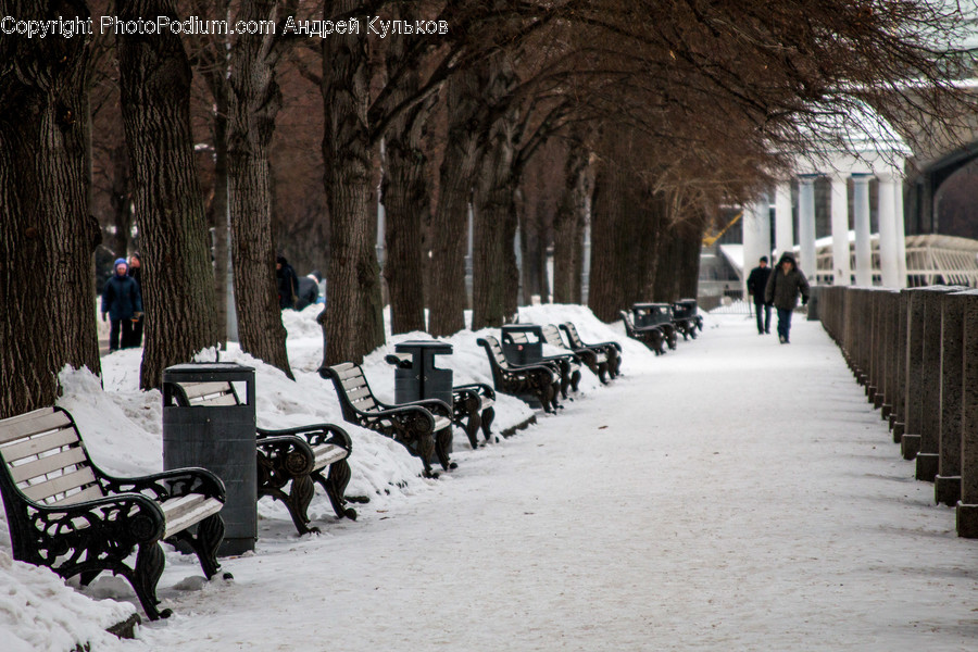 Bench, Outdoors, Snow, Carriage, Transportation