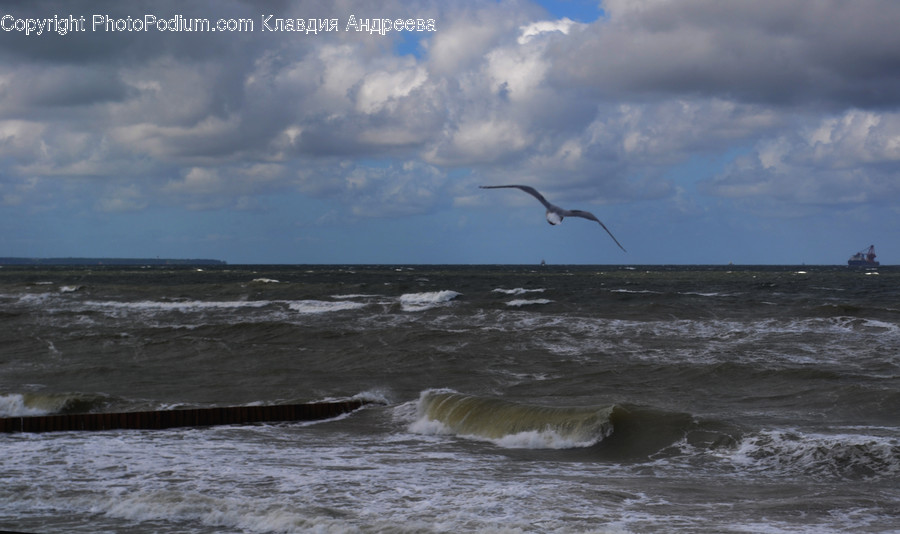 Nature, Ocean, Outdoors, Sea, Sea Waves