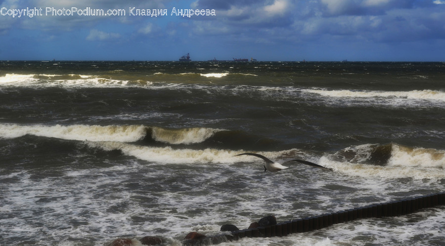 Nature, Ocean, Outdoors, Sea, Sea Waves