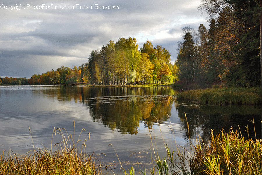 Lake, Outdoors, Water, Flora, Grass