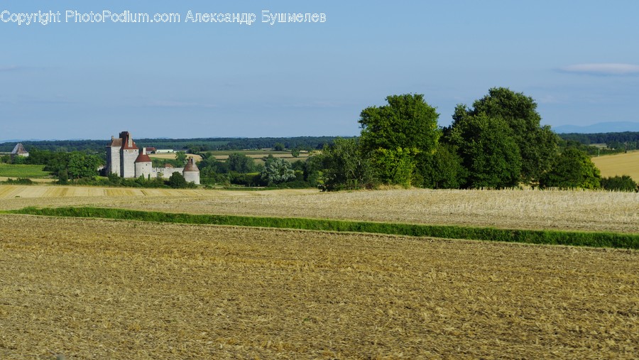 Field, Grassland, Outdoors, Dirt Road, Gravel