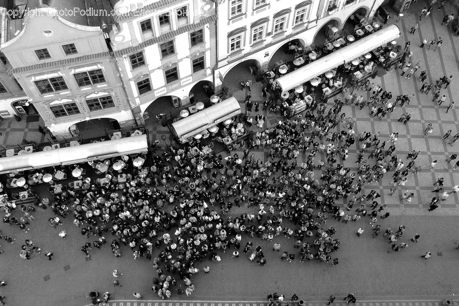 Crowd, Human, Person, Parade, Intersection