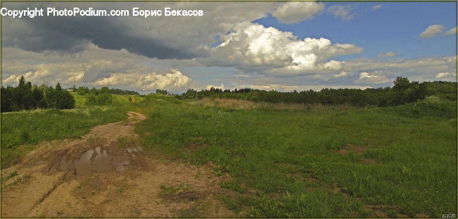 Cloud, Cumulus, Sky, Field, Grass, Grassland, Land