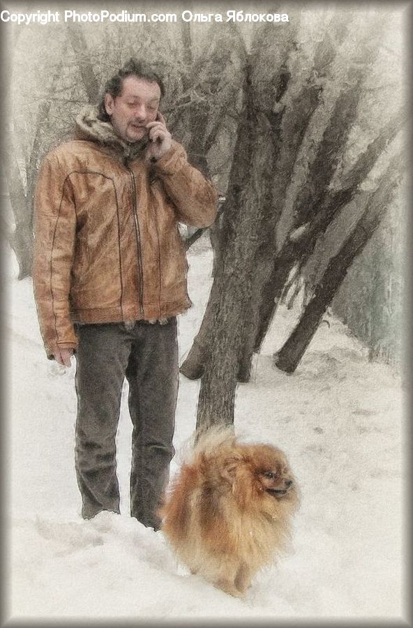 People, Person, Human, Ice, Outdoors, Snow, Airedale