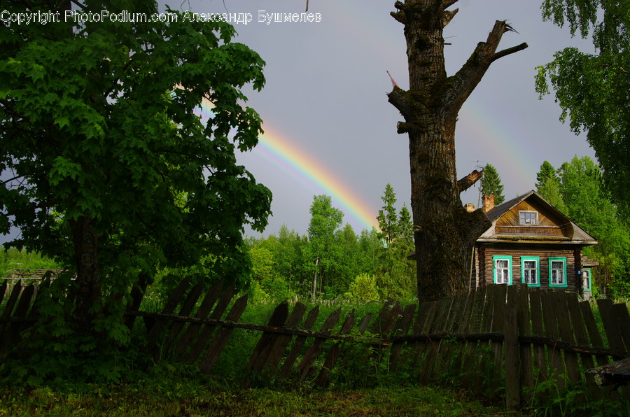 Nature, Outdoors, Rainbow, Sky, Flora