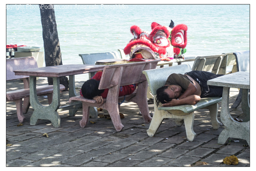 Human, People, Person, Asleep, Dining Table