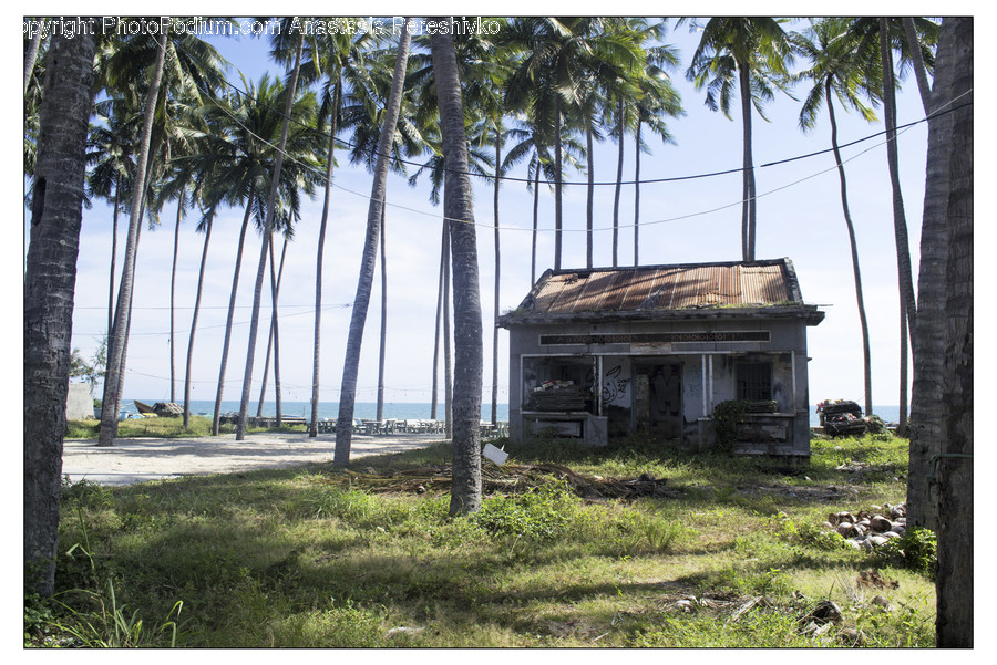 Building, Countryside, Hut, Nature, Outdoors