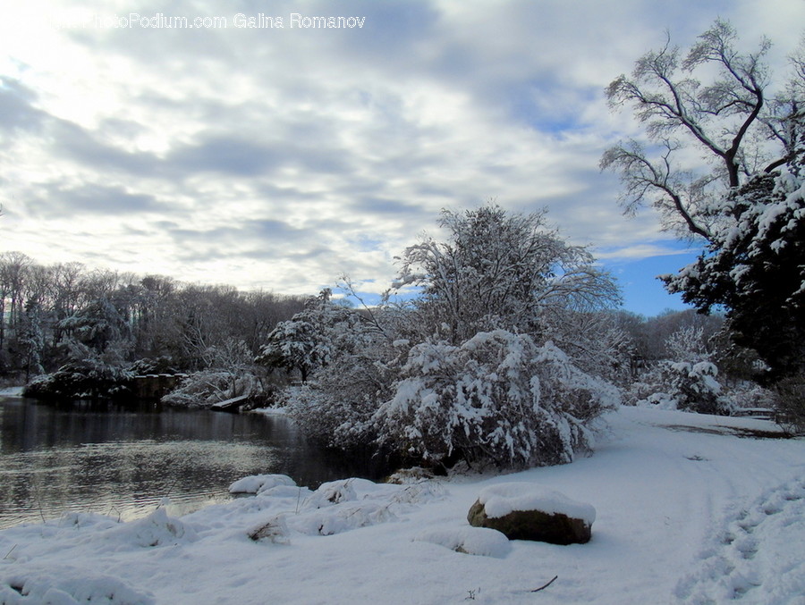 Outdoors, Snow, Plateau, Conifer, Flora