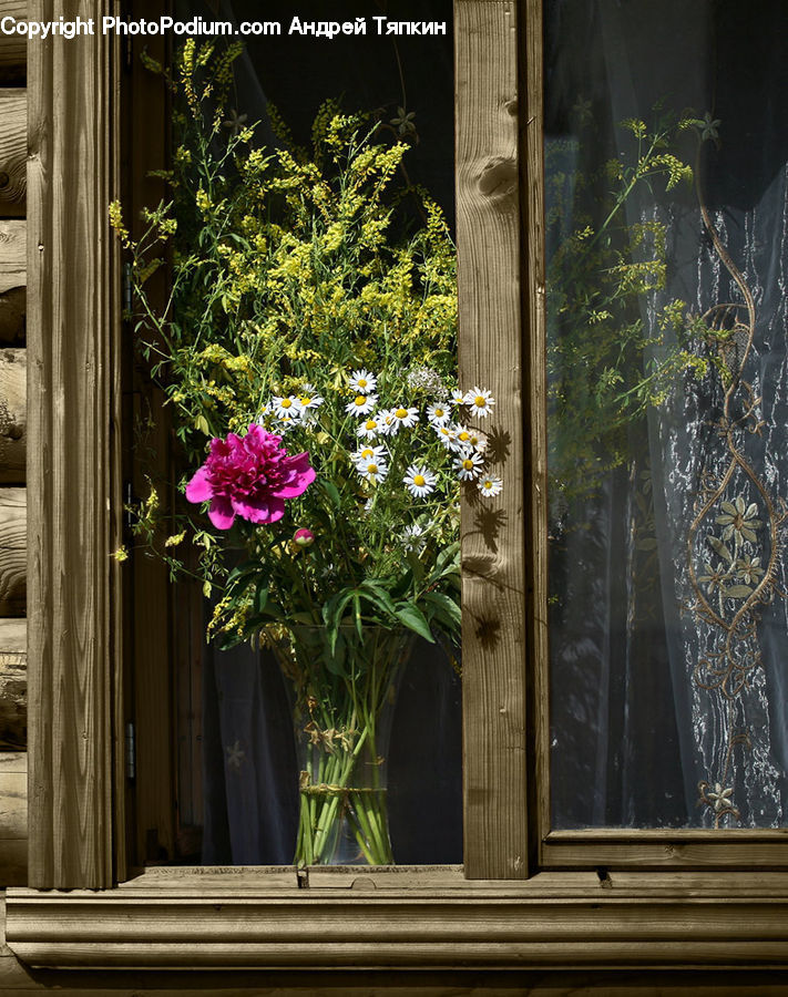 Window, Plant, Potted Plant, Floral Design, Flower, Flower Arrangement, Flower Bouquet