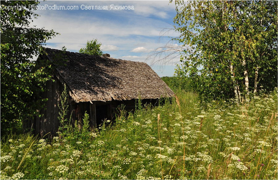 Building, Countryside, Hut, Nature, Outdoors