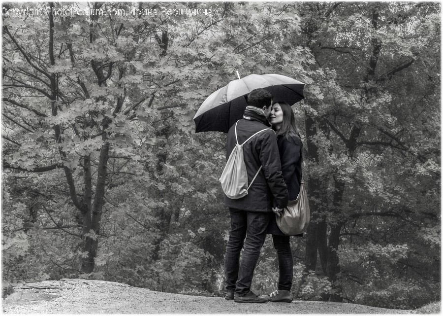 Human, People, Person, Canopy, Umbrella
