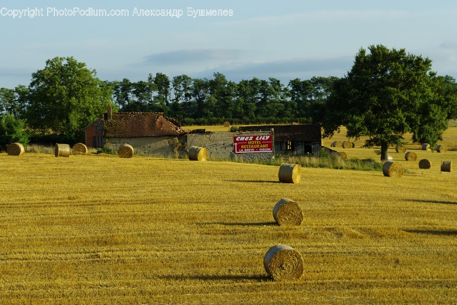 Countryside, Hay, Nature, Outdoors, Straw