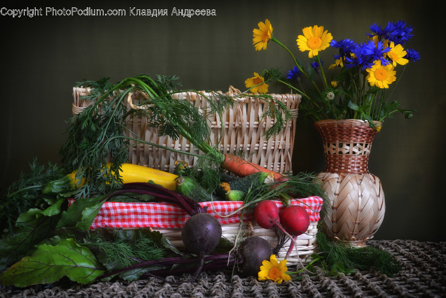 Flora, Jar, Plant, Potted Plant, Pottery