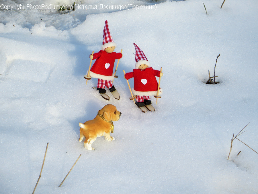 Biscuit, Cookie, Food, Gingerbread, Outdoors