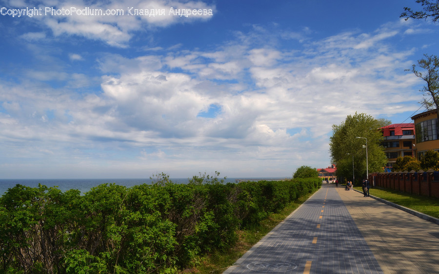 Boardwalk, Bridge, Building, Road, Landscape