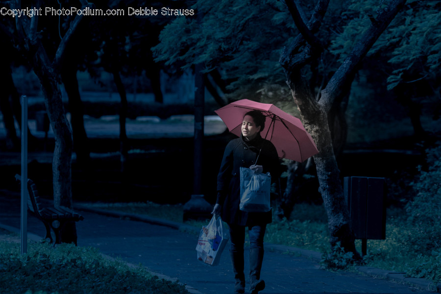 Canopy, Umbrella, Human, People, Person