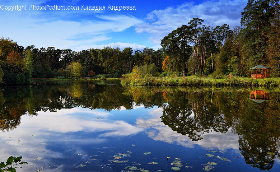 Lake, Outdoors, Water, Nature, Pond