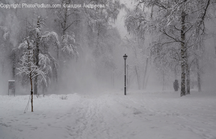 Outdoors, Snow, Blizzard, Nature, Storm