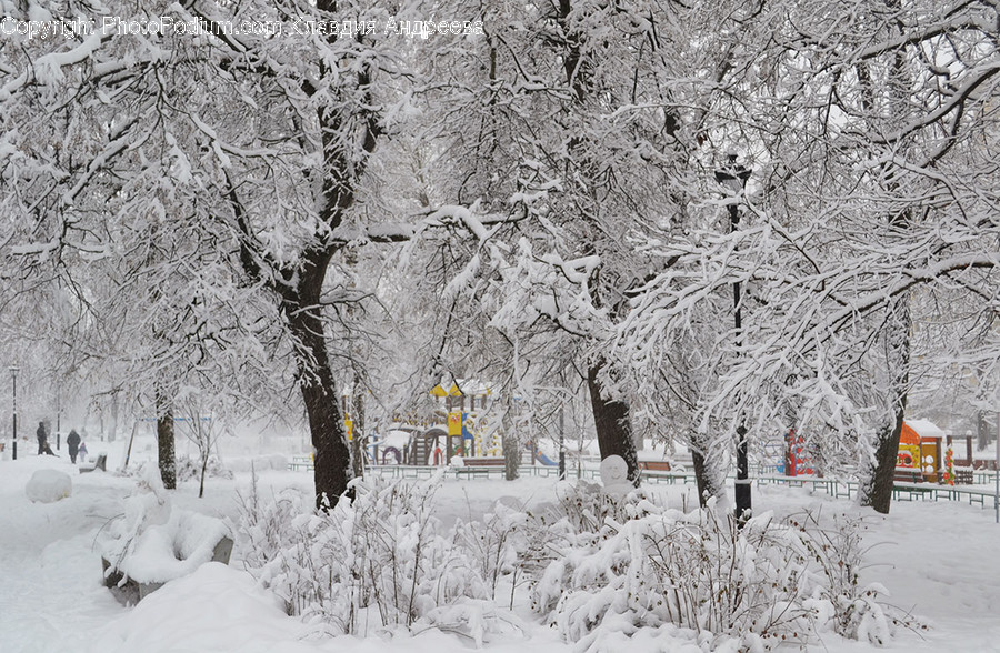 Outdoors, Snow, Blizzard, Nature, Storm