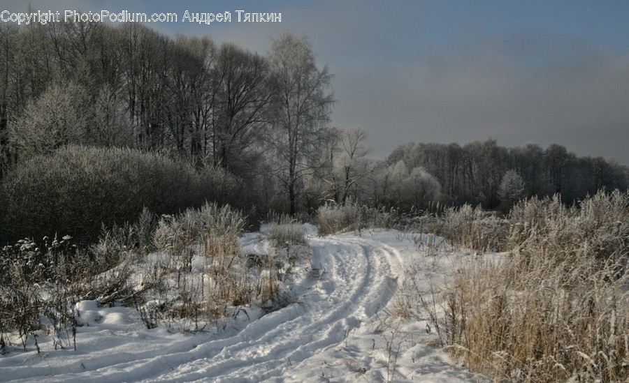 Frost, Ice, Outdoors, Snow, Landscape