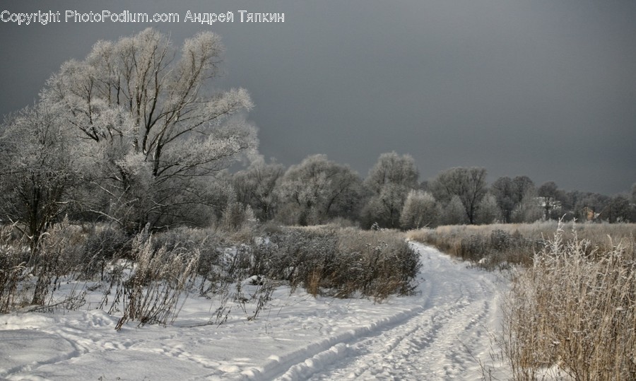 Frost, Ice, Outdoors, Snow, Dirt Road