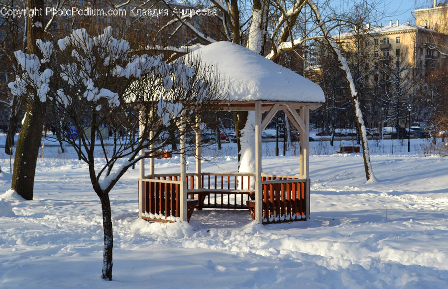 Gazebo, Outdoors, Snow, Flora, Plant