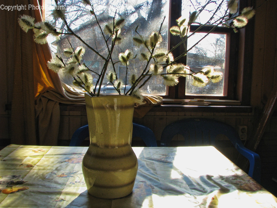 Glass, Goblet, Flora, Jar, Plant