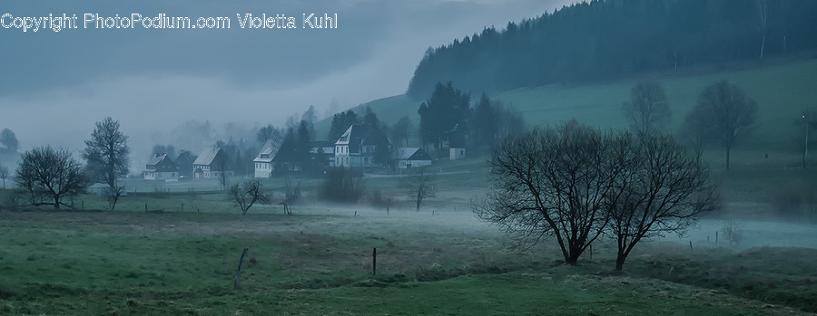 Fog, Nature, Weather, Countryside, Outdoors