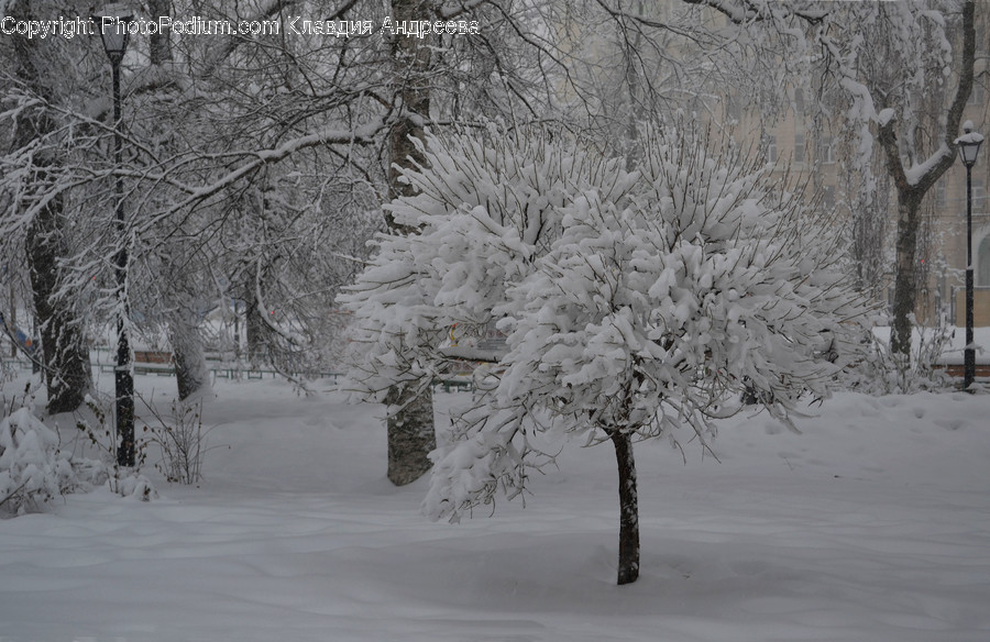 Outdoors, Snow, Blizzard, Nature, Storm