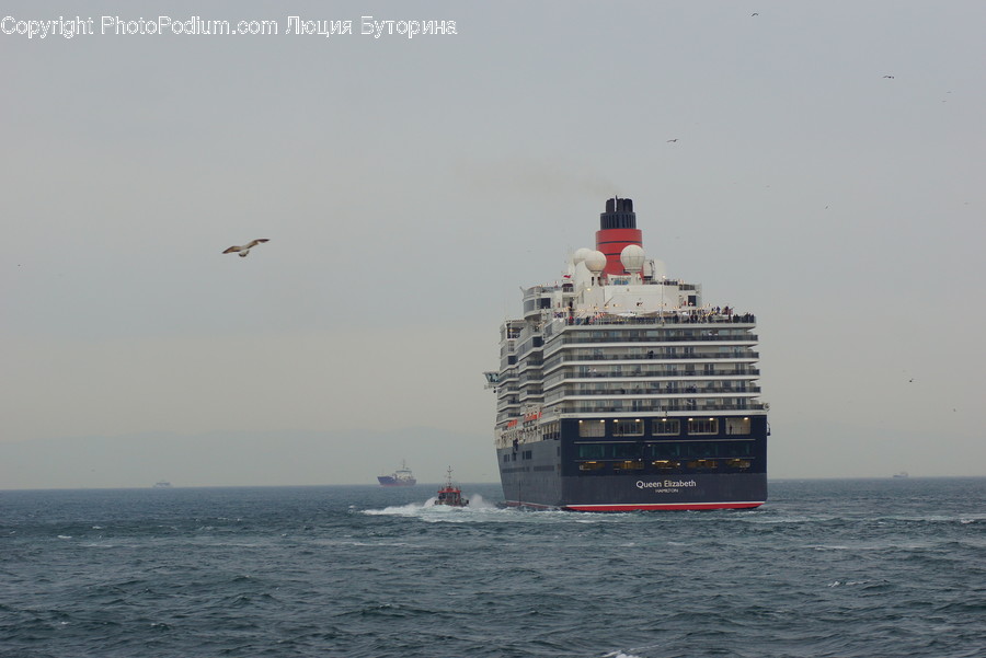 Cruise Ship, Ocean Liner, Ship, Transportation, Vessel