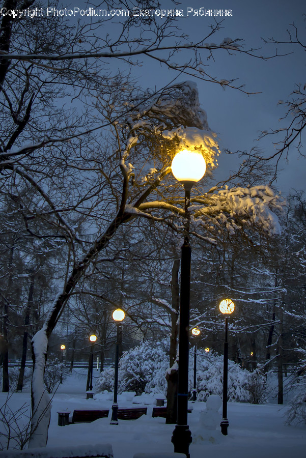 Lamp Post, Pole, Outdoors, Snow, Sunlight
