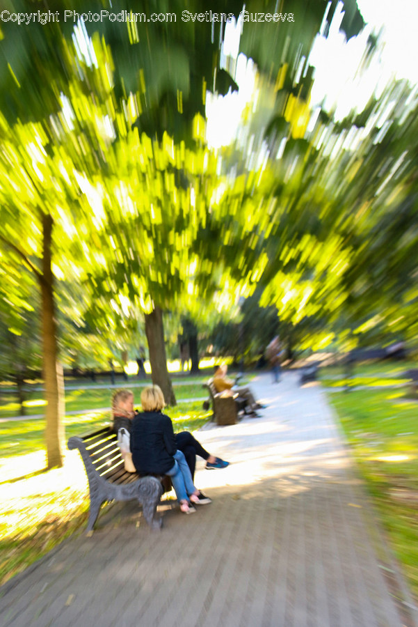 Human, People, Person, Bench, Leisure Activities