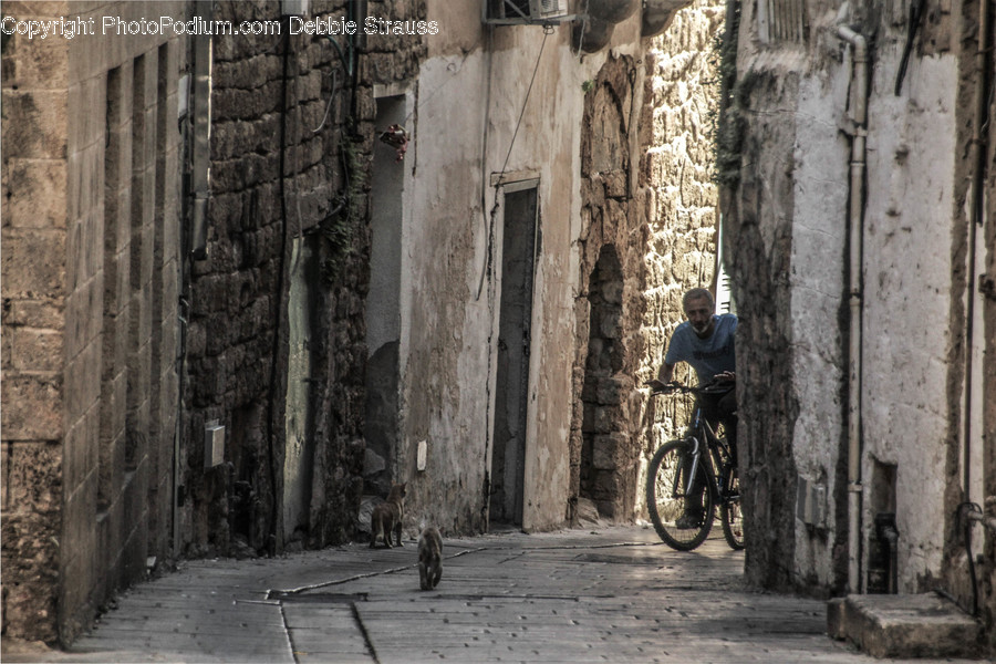 Alley, Alleyway, Building, City, Road